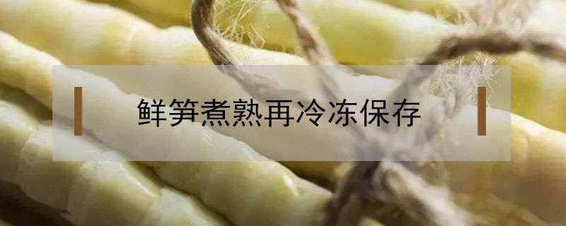 鲜笋煮熟再冷冻保存