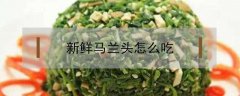 新鲜马兰头怎么吃