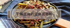 干煸豆角的豆角是哪种