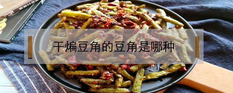 干煸豆角的豆角是哪种