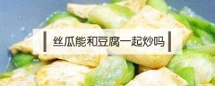 丝瓜能和豆腐一起炒吗