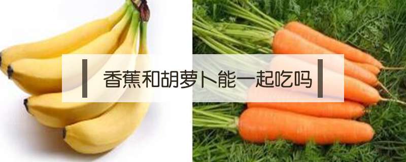 香蕉和胡萝卜能一起吃吗