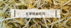 豆芽根能吃吗