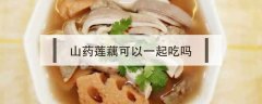 鸡肉和藕可以一起吃吗