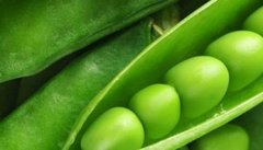 荷兰豆的营养价值与功效 荷兰豆的功效与作用