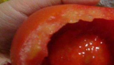 西红柿烂果