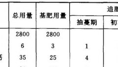 食荚豌豆田间管理