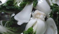 奶白菜种植时间和方法 奶白菜种植技术要点