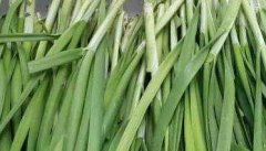 韭菜的功效与作用 韭菜的食疗功效
