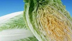 大白菜干烧心如何防治 怎么防治大白菜烧心