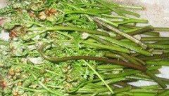 蕨菜的营养价值 蕨菜的食用做法