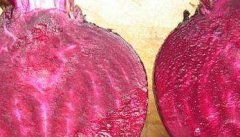 紫菜头的营养价值和功效