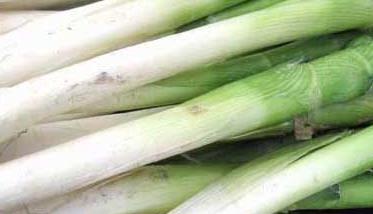大葱的营养价值 大葱种植方法