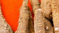 金针菜根的药用价值 金针菜根的作用