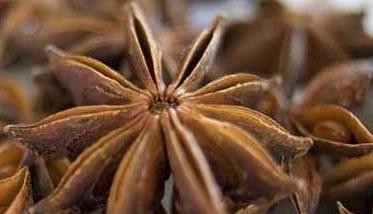 八角是什么? 蔬菜种植方法
