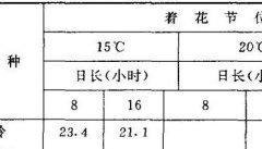 青花菜生长发育特性