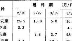 青花菜异常花球的形成和防治