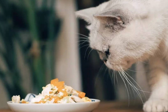 猫可以吃哈密瓜西瓜吗
