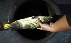 野外钓鱼除了远离高压线，这些东西也要远离