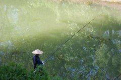 野河垂钓，这几个方法找鱼窝，一找一个准