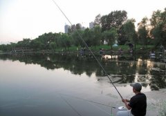 为什么你钓浮不上鱼吗？老钓友全面解析钓浮的三大技巧