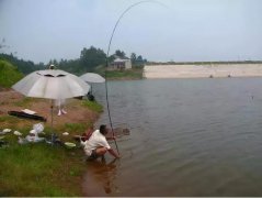 只要钓组能抛出去，不管风多大、浪多急，这两种钓法都能用