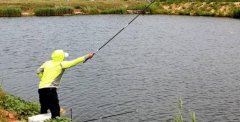 钓鱼玩台钓，如何才能做到快、准、狠地精准抛竿
