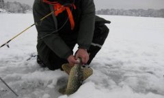 冰钓要学会去找鱼，那么如何找鱼呢