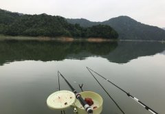 钓鱼需要几根鱼竿？从2.7到7.2，谈谈每种鱼竿的用途