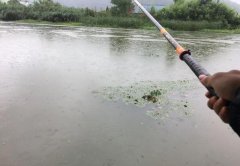 下完大雨河水暴涨，这些地方鱼最多，老钓友都抢着坐