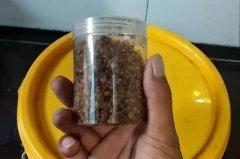 夏季试用这鲫鱼钓法，鱼获多到提不起来