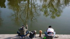 春季野钓大板鲫，远离这六大误区