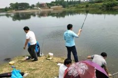 夏天征服鲤鱼，唯独这钓法百用百灵