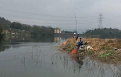 谁说冬季钓鱼必须钓深？这种几十公分的浅滩照样能上大鲫鱼