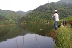 热天用来擒获鲤鱼，一根竿都钓不过来