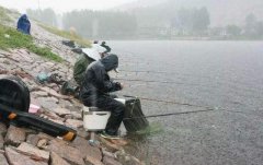 为何秋天下雨没鱼口？要明白钓深还是钓浅