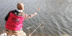 秋季钓鱼如何打一个够劲的窝？