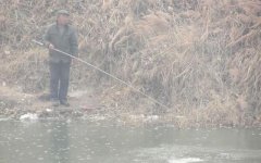 冬钓最佳钓点，莫过于水中寻草，草窝多有大鲫鱼