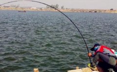 夏季刮风天钓鱼，需要注意的5个技巧