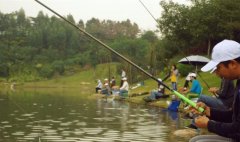 大暑天垂钓，钓鱼的注意事项及技巧