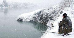 冬钓酒米自制流程，巧用白酒和草果，野钓鲫鱼超好用