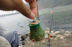 在生活当中，可以供钓鱼人使用的六种特效鲤鱼饵