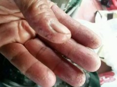 海钓面饵的味型是什么？真正诱鱼的是什么东西？真有那种神饵吗？