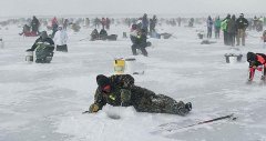 大雪过后野钓不喜欢用虫饵，不妨试试这两款拉饵