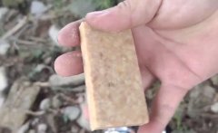 压缩饼干打窝是交智商税吗？钓鱼人实测，水下镜头记录全过程