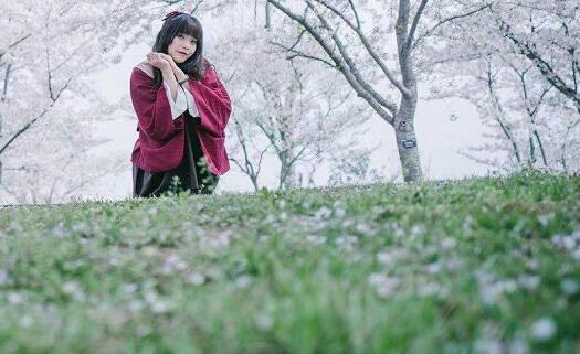 紫花地丁香花语 紫花地丁香花语是什么