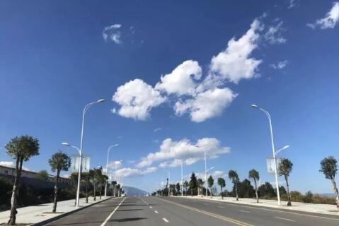 牵牛花花语 牵牛花花语是什么
