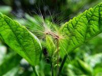 钓鱼小药使用水情鱼情及用量、开饵等技巧