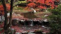 野钓白鲢钓底还是钓浮？如何选择钓点