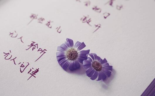 七色堇的花语是什么 象征爱情的植物有哪些